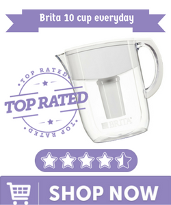Brita 10 cup everyday