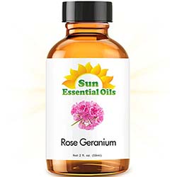Rose Geranium (2 fl oz) Best Essential Oil