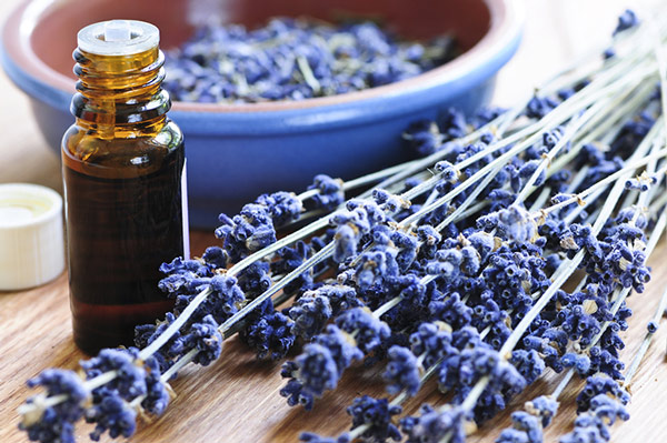 best essential oils for sleep