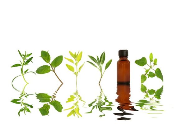 Herb Leaf Selection - essential oils for allergies