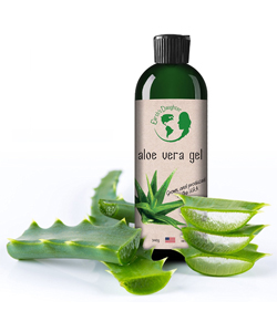 Earth's Daughter Aloe Vera Gel