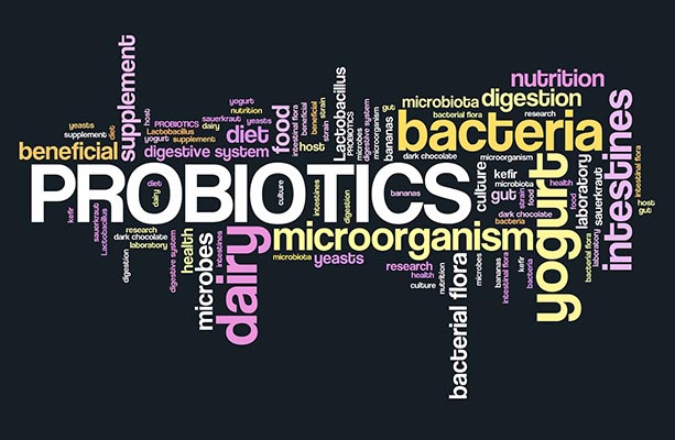 Multi-strain probiotic