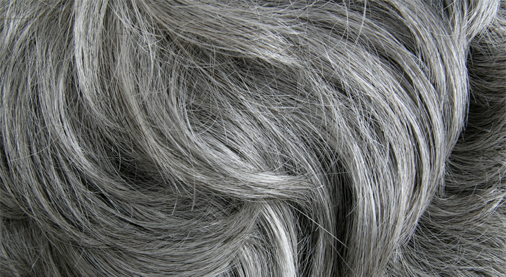 gray hair shampoo