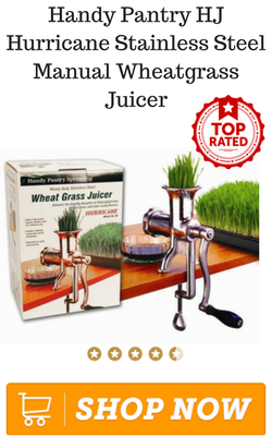 Handy Pantry HJ Hurricane Stainless Steel Manual Wheatgrass Juicer