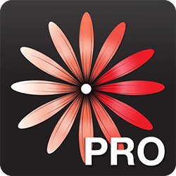 WomanLog Pro Calendar