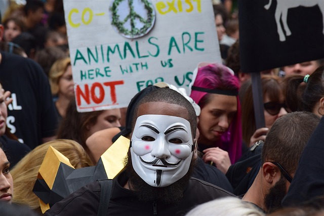 which best describes the overall purpose of "youth activism and animal rights”?